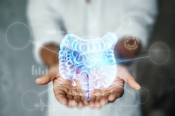 Virtuelle Darstellung eines Darms über geöffneten Händen – Symbolbild für Mikrobiom, Darmgesundheit und funktionelle Medizin
